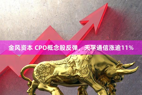 金风资本 CPO概念股反弹，天孚通信涨逾11%