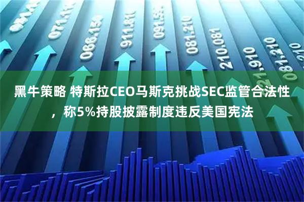 黑牛策略 特斯拉CEO马斯克挑战SEC监管合法性，称5%持股披露制度违反美国宪法