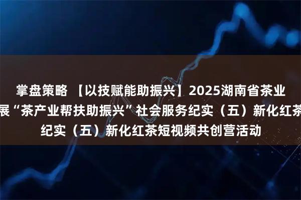 掌盘策略 【以技赋能助振兴】2025湖南省茶业协会结对新化县开展“茶产业帮扶助振兴”社会服务纪实（五）新化红茶短视频共创营活动